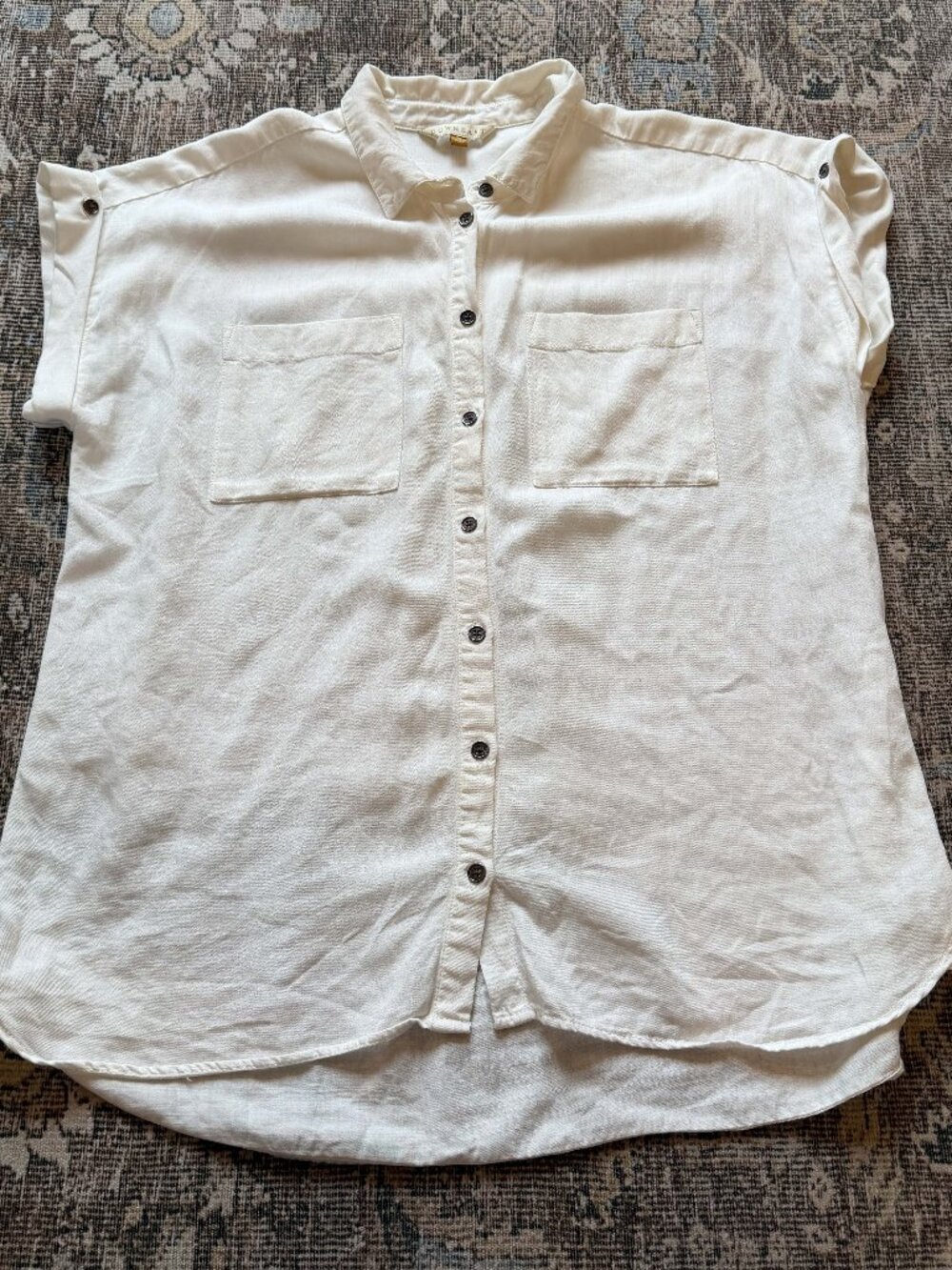 DownEast Cream Button Up Blouse • size medium